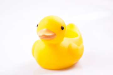 Yellow duck toy for play on white background, animal toy for child play for funny 
