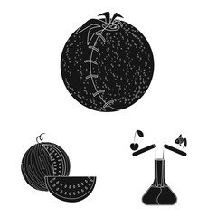 Vector illustration of quality and laboratory icon. Collection of quality and genetically stock vector illustration.