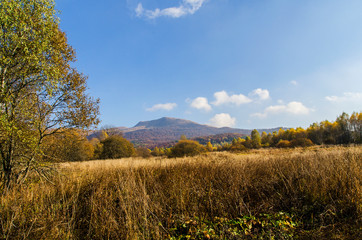 Tarnica bieszczady jesienią