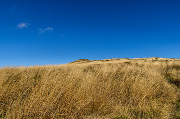 trawy na połoninach bieszczady © wedrownik52