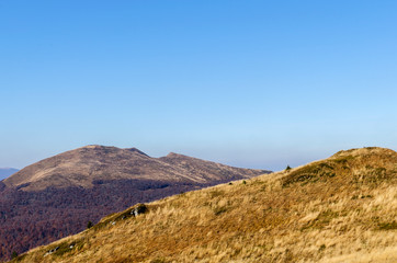 Tarnica bieszczady jesienią