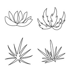 Fototapeta premium Isolated object of hedge and shrub icon. Set of hedge and floral stock vector illustration.