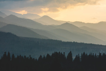 Forest under hills and mountains at sunset. Tatra Mountains in Poland.