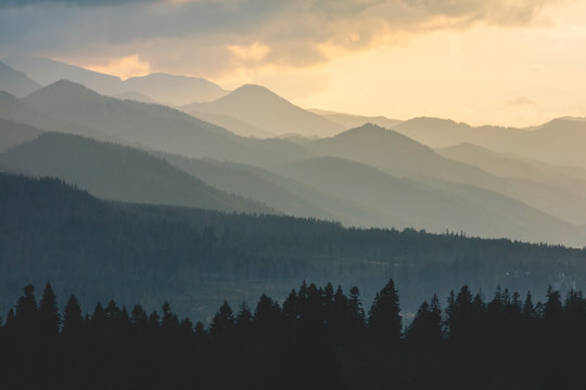 Fototapeta Forest under hills and mountains at sunset. Tatra Mountains in Poland.