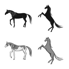 Isolated object of breed and equestrian logo. Collection of breed and mare vector icon for stock.