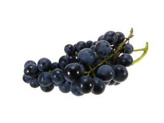 grape isolated on white background