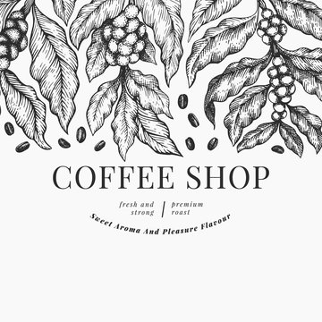 Coffee vector design template. Vintage coffee background. Hand drawn engraved style illustration.