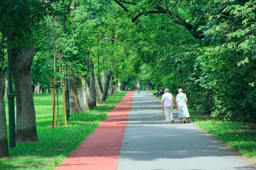 Fototapeta na wymiar Two old women are walking in park with treadmill