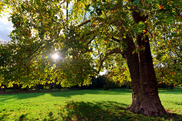 Bois de Vincennes park in Paris