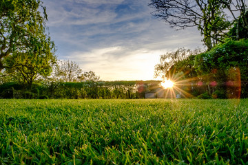 Sunset view of a large, well maintained large garden seen in early summer, showing the distant sun about to set, producing a warm light just before dusk. The grass has recently been cut.