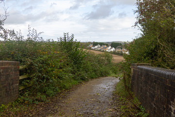 Fototapeta na wymiar A Country Lane near Holsworthy, Devon