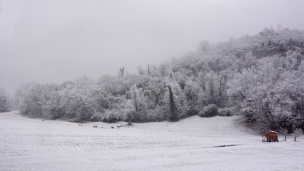 Fototapety na wymiar - Fototapeta24.pl