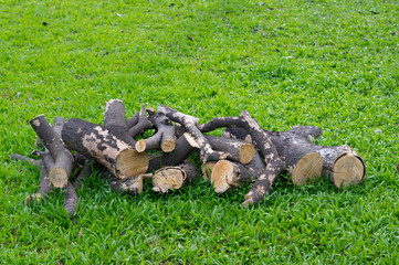 Stack of cut logs on grass floor.