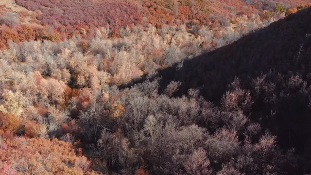 Flying down a valley or autumn-colored trees.