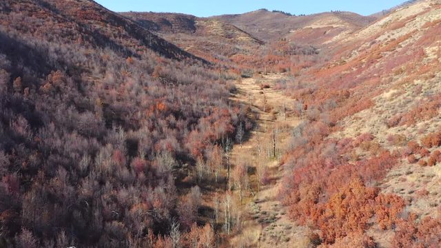 Flying down a valley of autumn-colored trees.