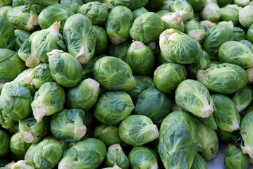brussels sprouts as tasty and wholesome vegetable