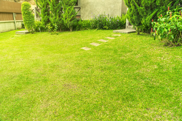 Green grass, Modern house with beautiful landscaped front yard, Lawn and garden blur background.,...