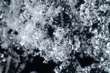 Brina ghiacciata sulle piante d'inverno