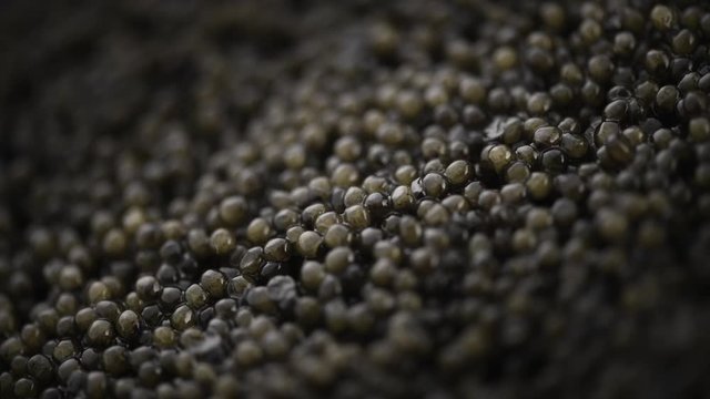Caviar closeup. Black caviar background. High quality natural sturgeon caviar close-up, rotation. Delicatessen. 4K UHD video footage 3840X2160
