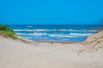 Foto op Plexiglas A beautiful soft and fine sandy beach along the gulf coast of South Padre Island, Texas © CheriAlguire