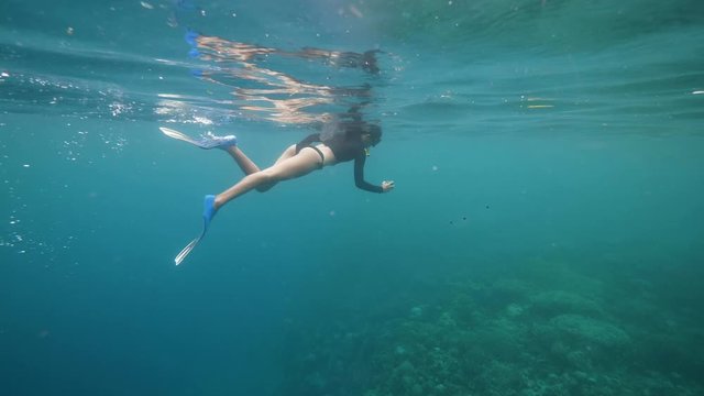 A young tourist snorkeling in the ocean shooting fishes and corals with phone.