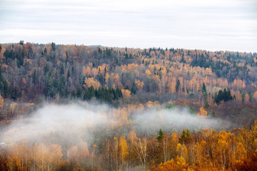 Fog moving above forest in autumn, beautiful nature