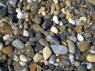 Wet different sea pebbles on the beach