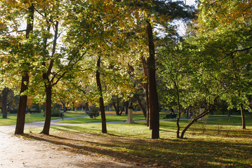 Fototapeta na wymiar picturesque landscape of fall in park