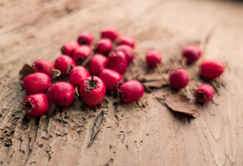 Red hawthorn berries on a wooden background