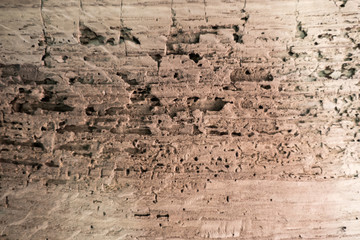 Texture of old wood used as natural background