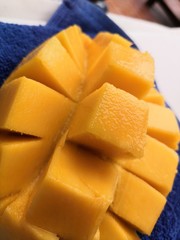 slices of melon