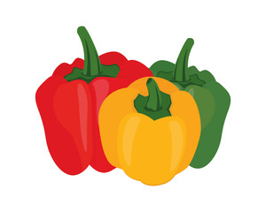 Detailed Red, Yellow and Green Paprikas Illustration