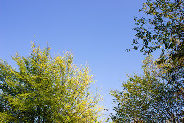 Yessentuki city lake
