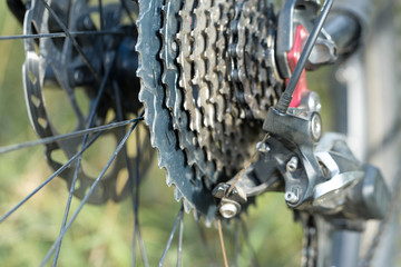 Close-up on a bicycle at the back, 
Mountain Bike Protector