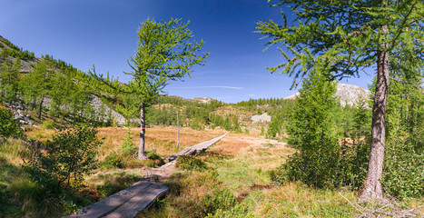 Panoramic view of an alpine valley with a walkway that allows you to cross a marsh.