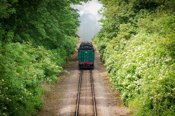 Fototapeta premium Fast approaching vintage steam locomotive with its coal tender seen head first. Large amount of steam can be seen flowing from the loco as it approaches a bridge.