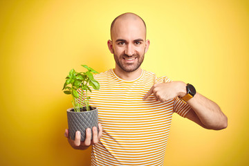 Young man holding basil plat plot over isolated yellow background with surprise face pointing finger to himself