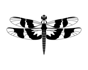 Black vector dragonfly icon isolated on white background,