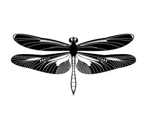 Black vector dragonfly icon isolated on white background,