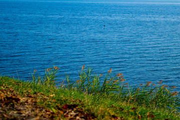 Obraz na płótnie Canvas lake shore view on a sunny day