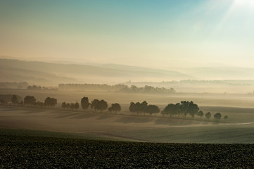 Fototapeta premium Morgennebel im Herbst 