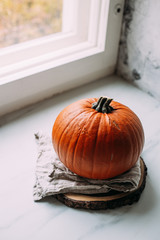 Pumpkin on marble background with copy space