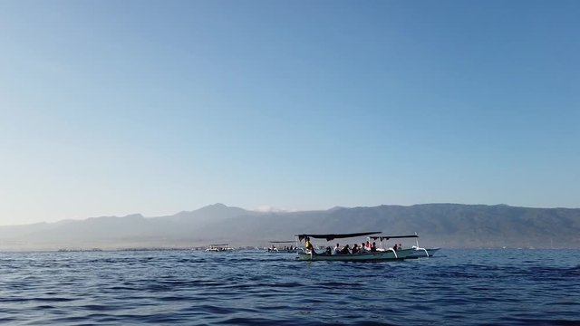 Photography hunt for dolphins. tourists on indonesian national boats - jukung. dolphin backs jump out of the water.