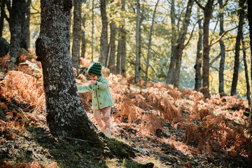 Obraz premium Little girl in an autumn forest among ferns