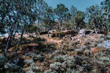Tiger leaping Gorge in China Autumn leaves 