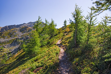 The mountain path on a sunny autumn day.