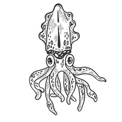 Cuttlefish marine mollusc animal sketch engraving vector illustration. T-shirt apparel print design. Scratch board style imitation. Hand drawn image.