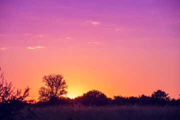 Fototapeta na wymiar Rural landscape in the evening at sunset