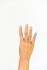 hand isolated on white background counting number four