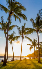 palm trees on the beach, Grand’Anse, Réunion Island 